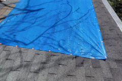 EA-Emergency-Tarp-Roland-Park-logo-2